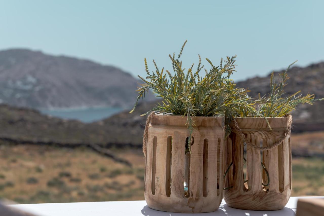 Anemela Villas & Suites Mykonos Agrari  Exterior foto